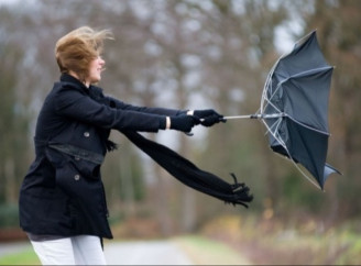На Чернігівщині прогнозують грози та шквальний вітер 