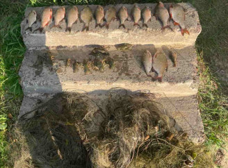 На Чернігівщині браконьєра спіймали з трьома сітками та уловом на 55 тисяч гривень