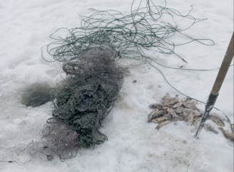 На Чернігівщині жінка спіймала 37 карасів і завдала збитків на понад 58 тисяч гривень