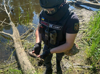 За добу піротехніки ДСНС п’ять разів виїжджали на виклики на Чернігівщині