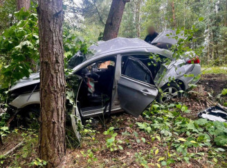  На Ніжинщині водій сталася ДТП: автівка врізалася у дерево