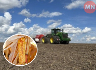 Фермери Чернігівщини можуть отримати насіння і добрива для весняної посівної