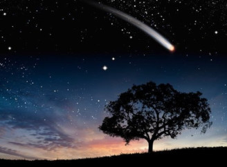 Почався зорепад Персеїди — найкрасивіше астрономічне шоу літа