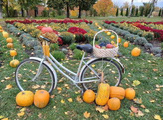 Естетично та затишно: осінній настрій в Куликівці – Фотопідбірка