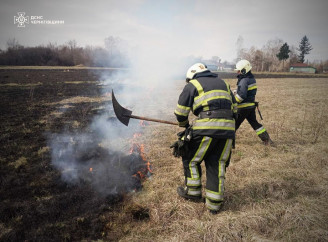 На Чернігівщині за добу ліквідували 26 загорянь — ДСНС