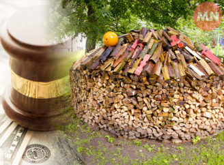 В'язниця та десятки тисяч гривень штрафу за зберігання дров: у чому небезпека нового законопроєкту