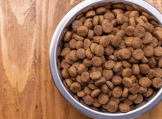 Сухой корм для кошек: сертифицированные продукты для здоровья от BestPet