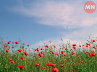 Церковний календар на липень 2025: які православні свята відзначатимуть віряни за новим і старим стилем