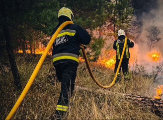 Горів балкон у Ніжині, дрова і сіно в селах: 5 пожеж за добу
