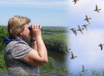 Птахи Ніжинщини: різноманіття, звички та збереження