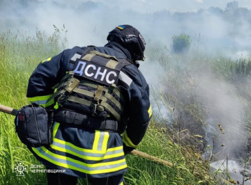 Понад 700 пожеж в екосистемах сталося на Чернігівщині від початку року