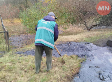 Чернігівщина під черговими атаками: екологи зафіксували масштабну шкоду довкіллю після падіння ворожого дрона