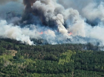 Масована лісова пожежа на Чернігівщині, спричинена ворожими обстрілами, повернула в бік рф 