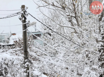 На Ніжинщині через негоду без світла 240 абонентів — АТ "Чернігівобленерго"