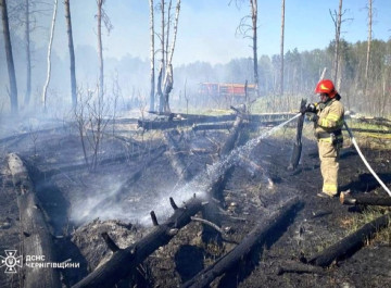 На Чернігівщині виявили тіло жінки під час гасіння пожежі сухої трави