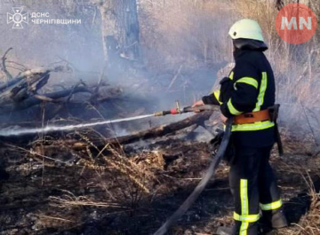 На Ніжинщині сталися дві пожежі господарчих будівель