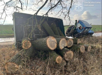 Самовільно рубав дерева: жителю Ніжинщини повідомили про підозру 