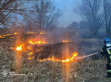 На Чернігівщині за добу вигоріло понад 19 гектарів: рятувальники ліквідували 17 пожеж