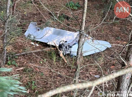 На Чернігівщині поліцейські знешкодили бойову частину ворожого безпілотника фото