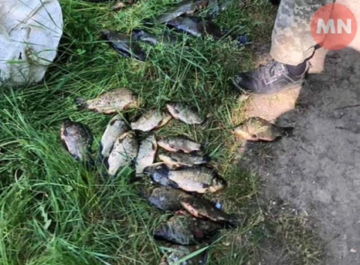 На Чернігівщині чоловік сплатить 49 тисяч гривень штрафу за вилов риби під час нересту фото
