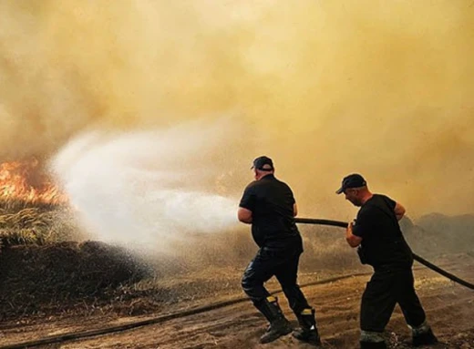 На Чернігівщині ліквідували масштабну пожежу торф'яників фото