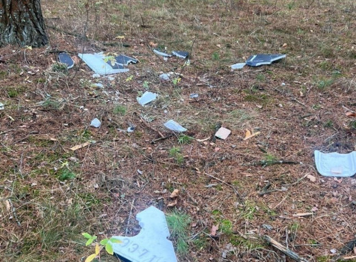 На Чернігівщині травмувалися двоє підлітків через вибух збитого безпілотника, який вони знайшли в лісі фото