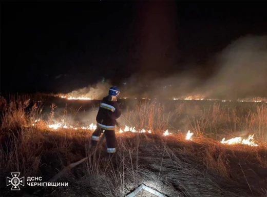 У Ніжині згоріло два гектари сухої трави: подробиці фото