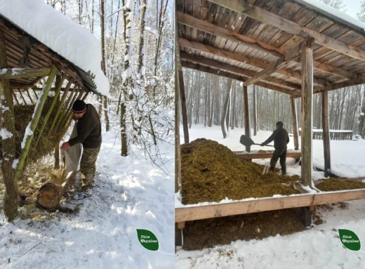 У лісах Чернігівщини почалась зимова підгодівля тваринок (Фото) фото