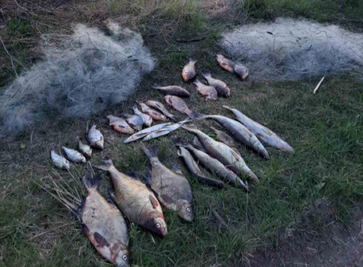 На Чернігівщині у селі Хибалівка браконьєр наловив риби на понад 54 тисячі гривень фото