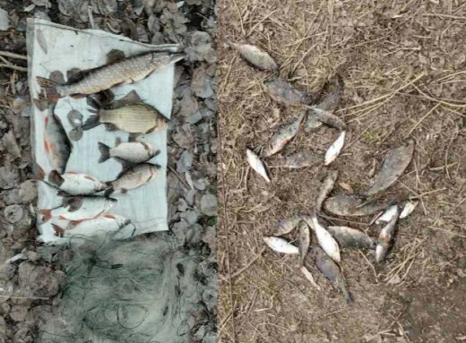 На Чернігівщині горе-рибалки наловили риби на понад 70 тисяч гривень: подробиці фото