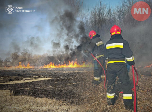 У Лосинівці під час пожежі сухої трави загинула 84-річна жінка: що відомо фото