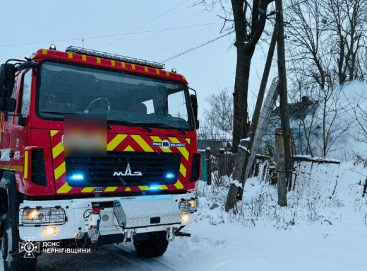 На Чернігівщині за добу ліквідували сім пожеж: під час гасіння знайшли тіла двох людей фото