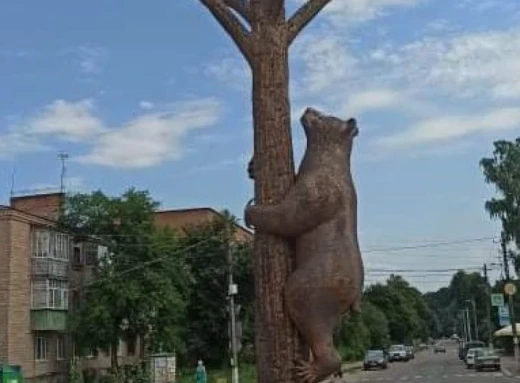 У Сосниці є цікавий ведмідь: що про це відомо фото