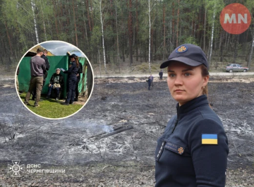 На Чернігівщині жінка отримала штраф — 15 тисяч гривень за спалювання трави: подробиці фото