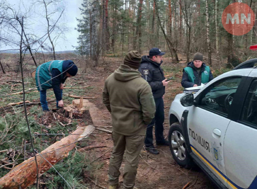 На Ніжинщині незаконно нарубали лісу майже на три мільйони гривень: подробиці фото