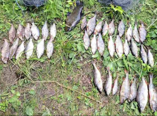 Браконьєр виловив 3 кілограми риби й заплатить понад 70 тисяч гривень фото