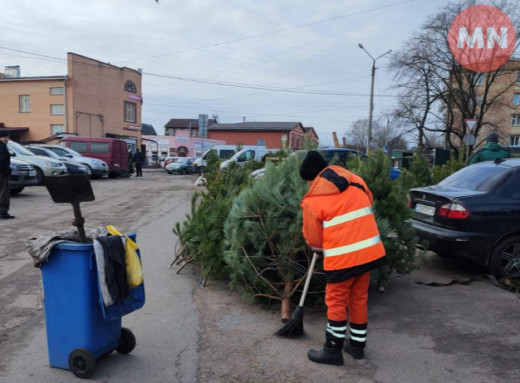 Утилізація ялинок у Ніжині: де, коли і як позбутися святкової красуні фото