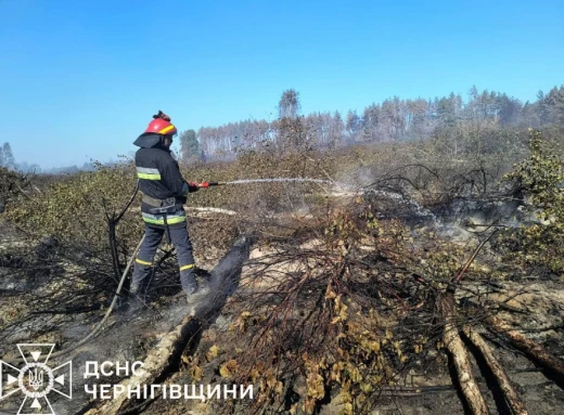 На Чернігівщині через займання сухої трави згоріла електропідстанція фото