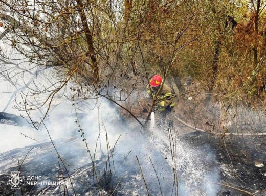 Вогнеборці Чернігівщини ліквідували 99 пожеж за тиждень фото