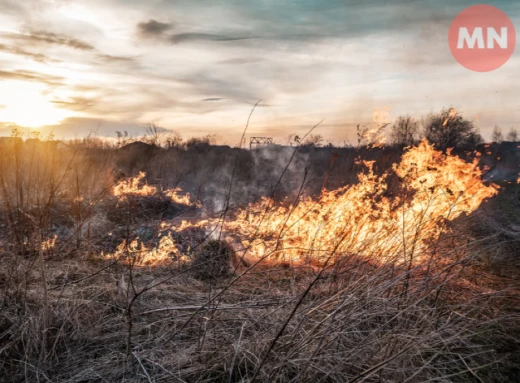 На Чернігівщині спалювання сухої трави призвело до летального наслідку — загинув чоловік фото