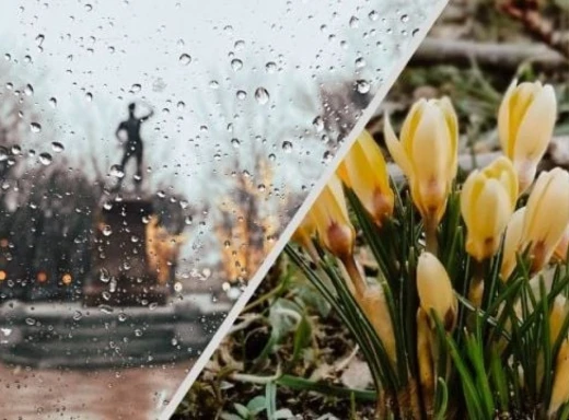 Прогноз погоди на вихідні 16–17 березня: вікенд під кодовою назвою «Краще залишитися вдома» фото