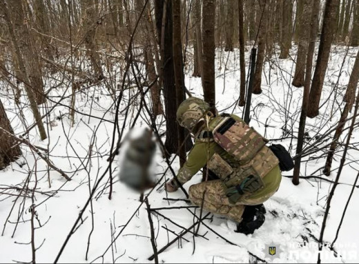 На Чернігівщині вибухотехніки знешкодили бойову частину збитого ворожого дрона фото