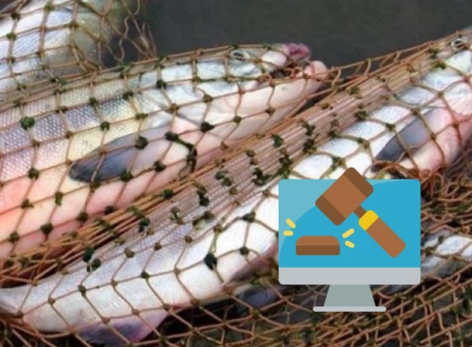 У справі про незаконний вилов риби ухвалено вирок фото