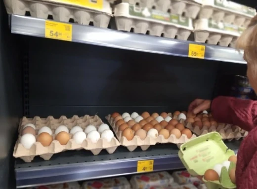 День яйця: корисні властивості, рецепти та ціни на яйця в Ніжині (Відео) фото