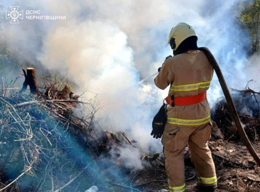 На Чернігівщині рятувальники ліквідовано 27 пожеж та знешкоджено вибухонебезпечні предмети фото