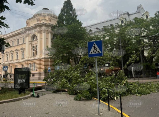 Буря на Львівщині зупинила транспорт і повалила дерева фото