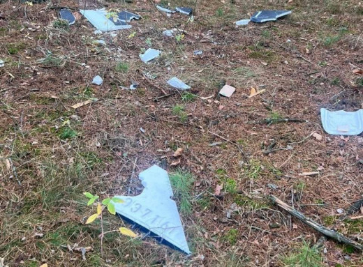 На Чернігівщині двоє підлітків підірвалися на уламках російського дрона фото