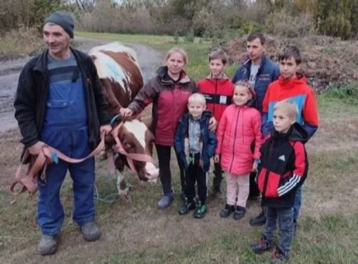 Дві багатодітні родини на Чернігівщині отримали корівок фото