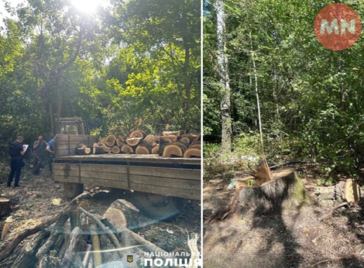 На Ніжинщині затримали підозрюваних, котрі незаконно вирубували ліс фото