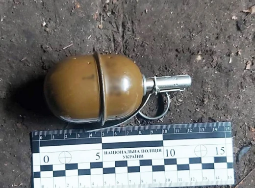 На Чернігівщині у чоловіка вилучили гранату фото